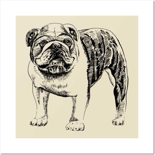 english bulldog Wall Art by VicaVeresk